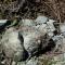 Photo of broken fence-post concrete