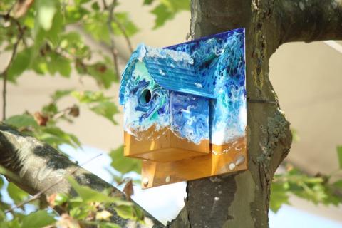  Bird Box Triangle Market Place