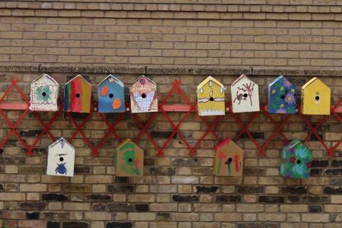 Bird Boxes Compass Street