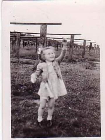  Lesley Ashton child  net drying racks