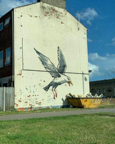 seagull banksy edp credit