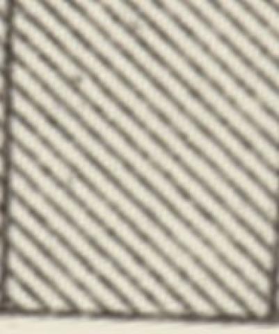ss