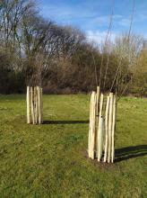 Dip Farm tree planting